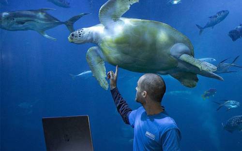 6 Exciting Events & Activities To Enjoy At Home With Your Kids Marine Aquarium